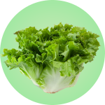 Recetas keto con lechuga