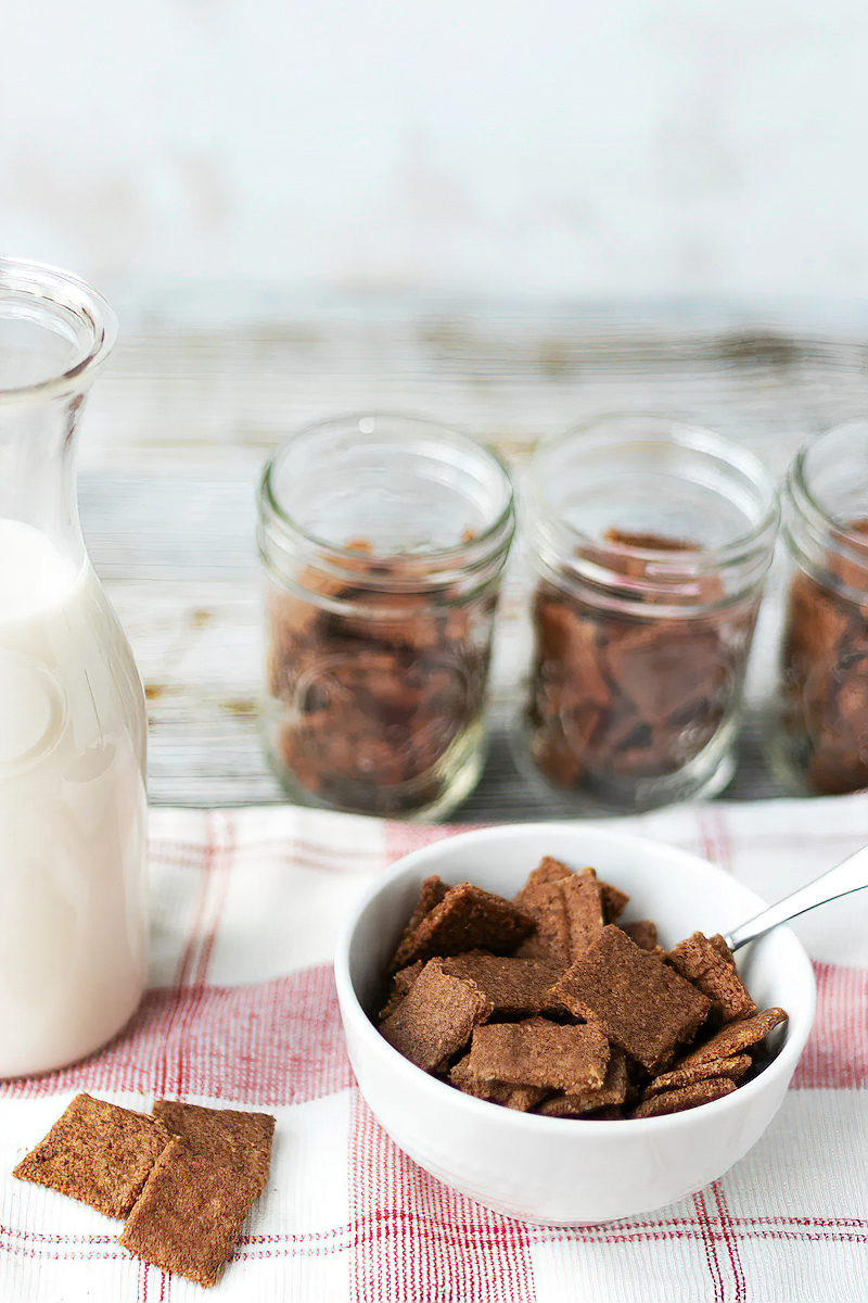 Receta cereales keto de desayuno