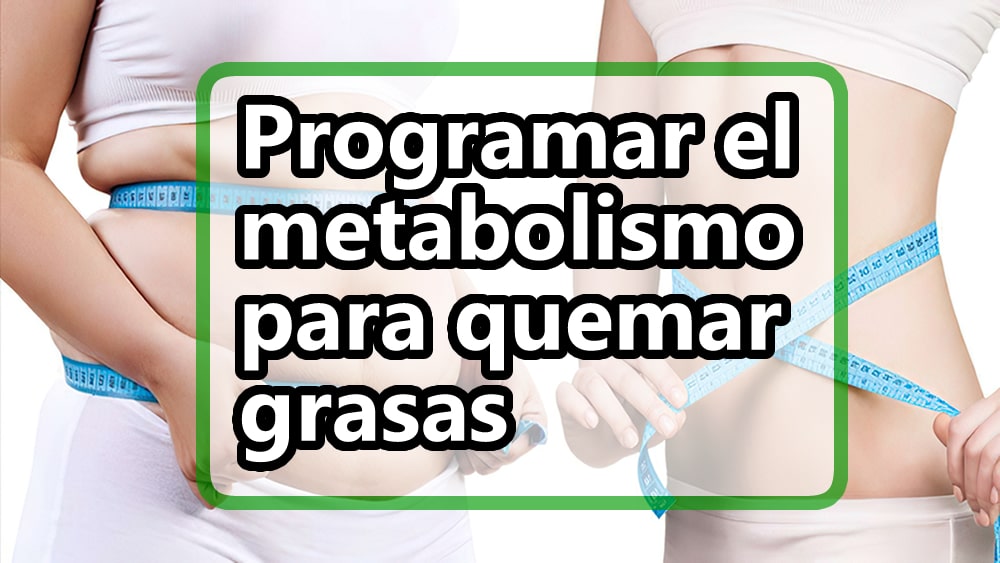 Programar el metabolismo para quemar grasas