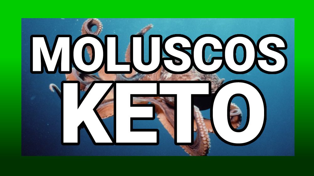 Moluscos keto