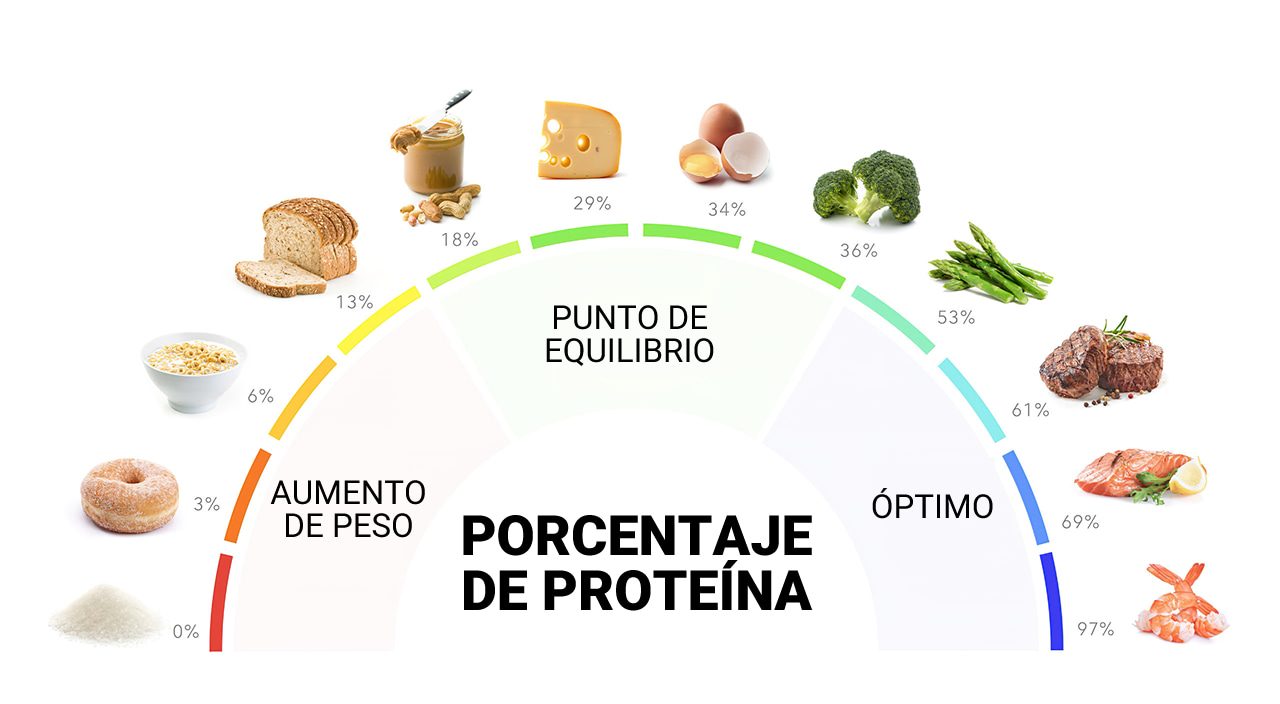 Proteína en una dieta baja en carbohidratos o keto